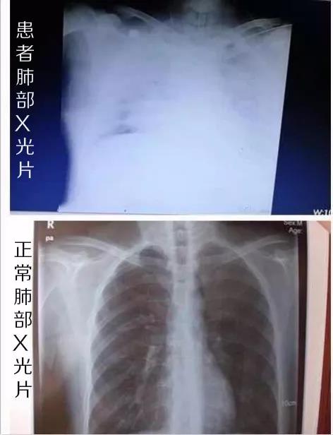 微信图片_20190124083121.jpg